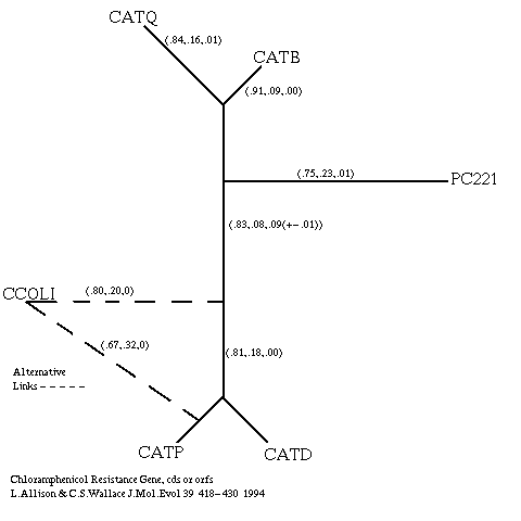 figure 7: Alternative Trees for Bacterial Sequences Clostridium perfringens CATQ and CATP, Clostridium difficile CATD, Campylobacter coli CCOLI, Clostridium butyricum CATB, and Staphylococus aureus PC221